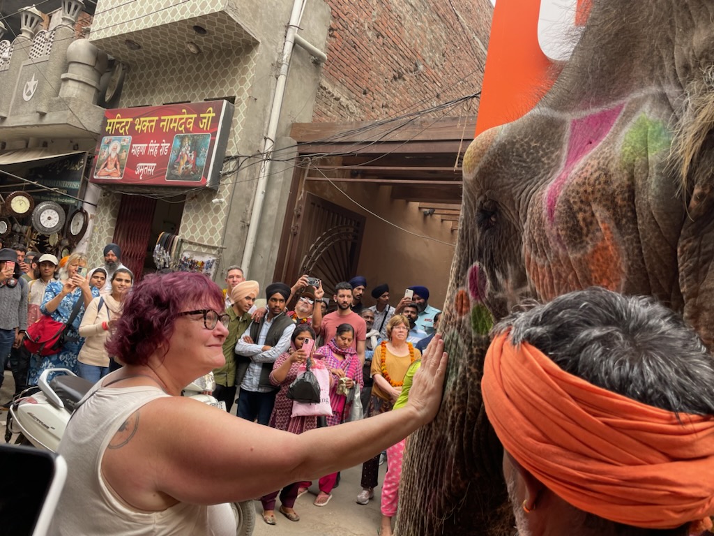 Petting Elephant_India